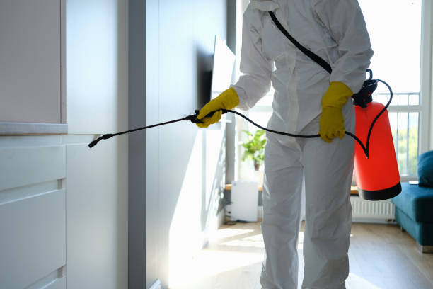 Best Mold Testing  in Amelia, OH