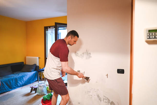 Best Black Mold Removal  in Amelia, OH